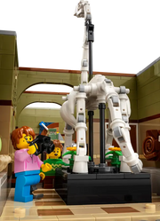 Natural History Museum