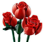 The bouquet of roses