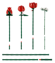 The bouquet of roses