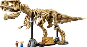 Dinosaur Fossils: Tyrannosaurus Rex