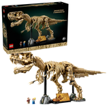 Dinosaur Fossils: Tyrannosaurus Rex